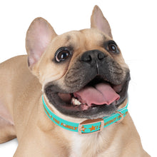 Load image into Gallery viewer, Protect The Family Dog Collar