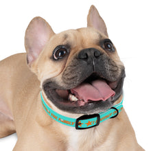 Load image into Gallery viewer, Protect The Family Dog Collar
