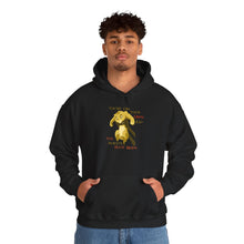 Load image into Gallery viewer, Lion YOYOK Hoodie