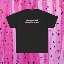 Load image into Gallery viewer, Nobody's Perfect (Except For My Cat) T-Shirt