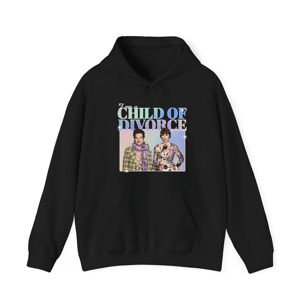 The Child Of Divorce Hoodie
