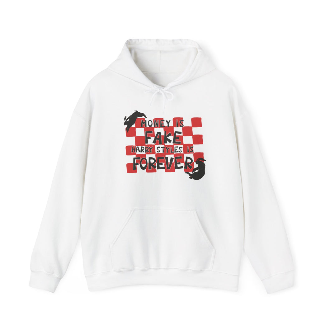 The Money Is Fake Hoodie (white)